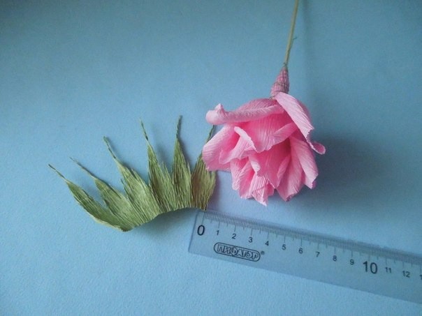 ​Пышная роза со сладким секретом