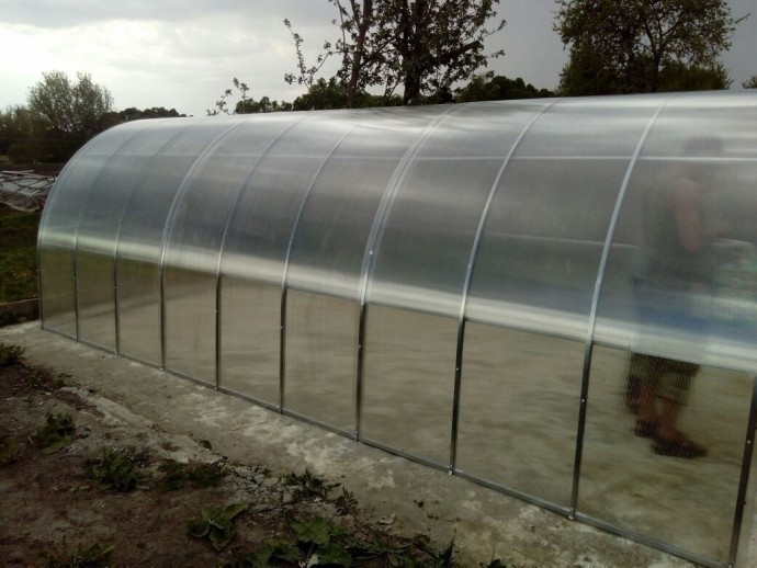 ​Чем заменить грядки на даче