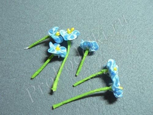 ​Нежные маленькие голубые цветы