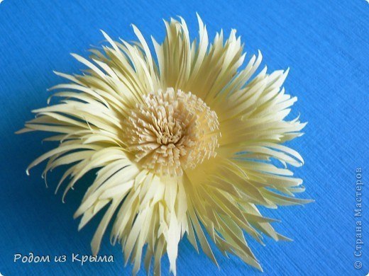 Бумажный цветок, который изумительно похож на настоящий, своими руками