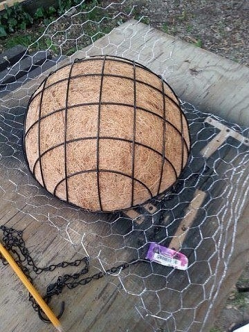 Чудесная черепаха из  суккулентов