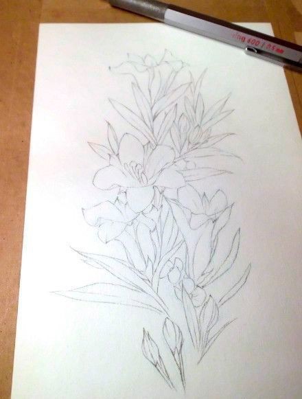 Рисуем полевые цветы акварелью