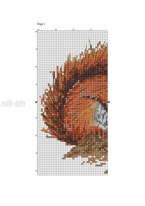 ​Хорошенькая белка