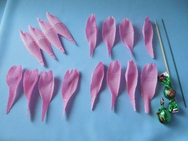 ​Пышная роза со сладким секретом