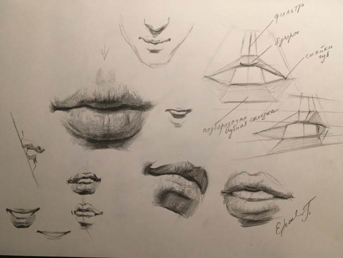 Учимся рисовать части лица