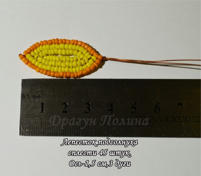 ​Солнечные подсолнухи