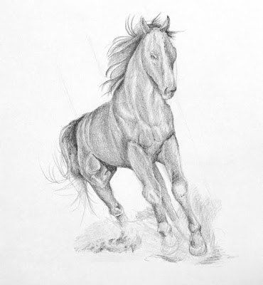 Бегущий конь в карандашной технике