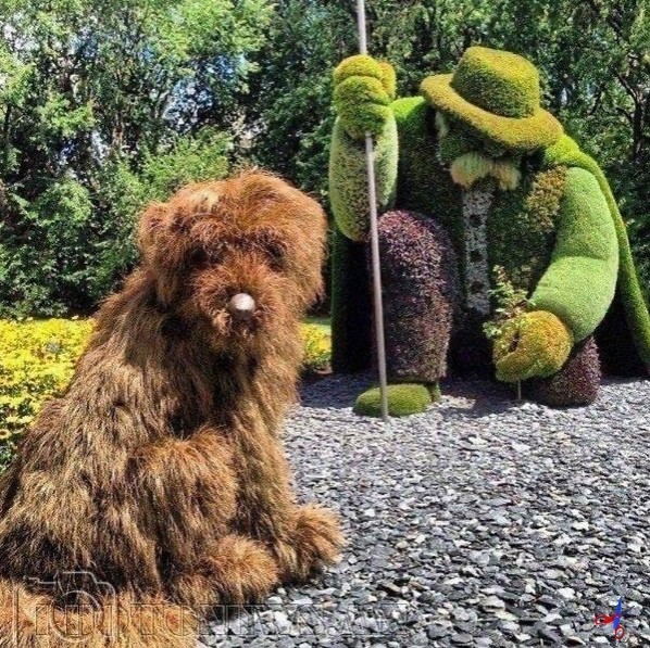 ​Скульптуры из живых растений: идеи для вдохновенного творчества