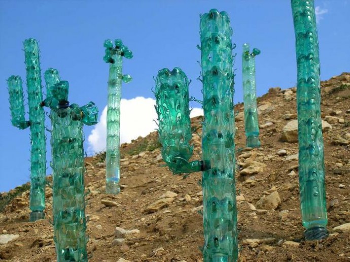 Кактусы из пластиковых бутылок: идеи для творчества
