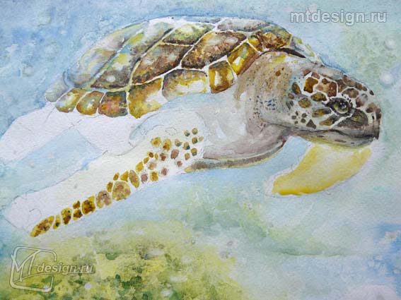 Урок рисования акварелью: черепаха под водой