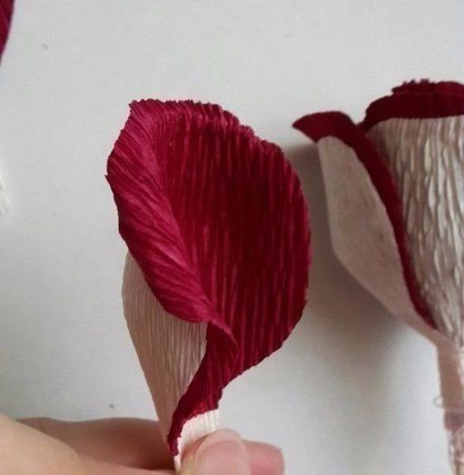 Двухцветная розa из бумаги: красивая идея для творчества