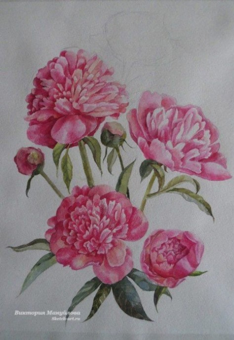 Урок рисования акварелью: пионы