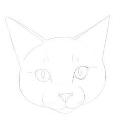 Рисуем трехцветную кошку