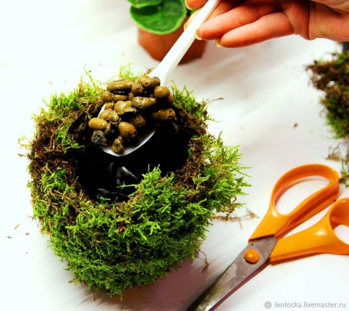 Лесной мох в интерьере