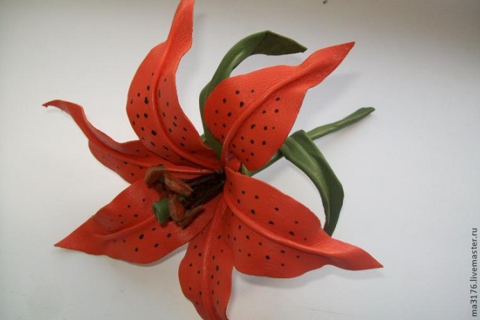 Огненная лилия