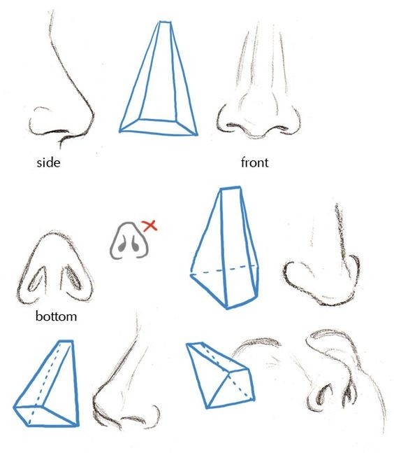 Учимся рисовать разные носы