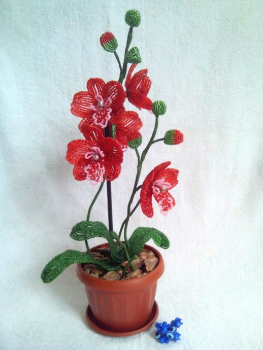 ​Чудесный букет орхидей