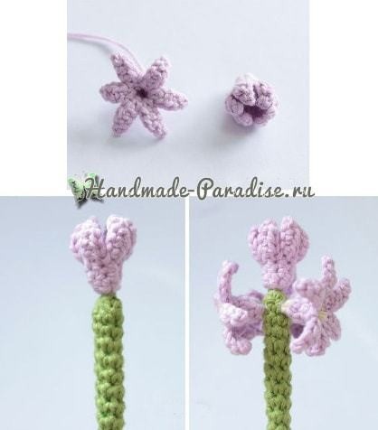 Гиацинт крючком