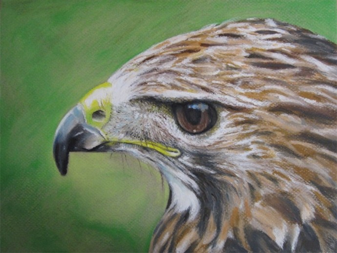 ​Рисуем орла