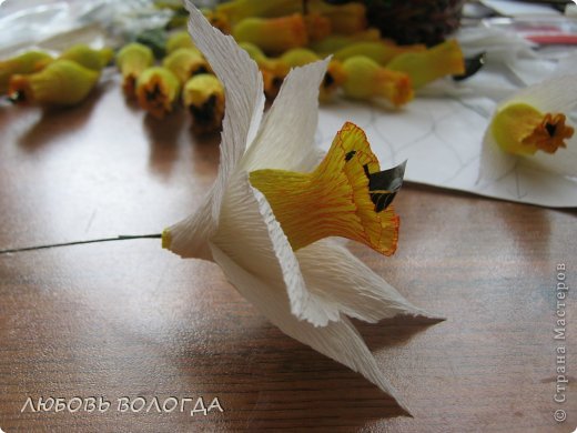 Нарциссы из гофрированной бумаги
