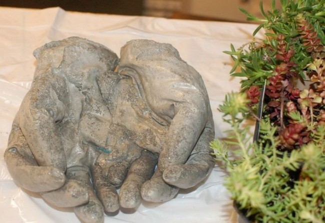 ​Цветы в ладонях