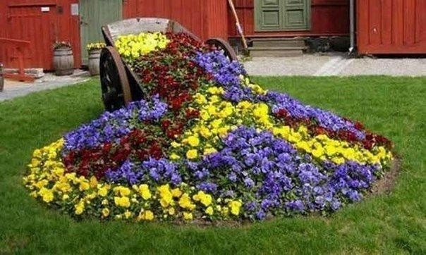 Креативные клумбы