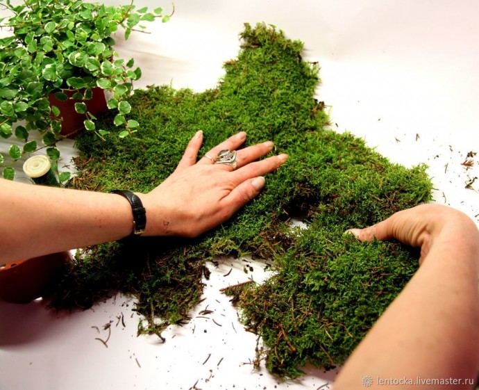 Лесной мох в интерьере