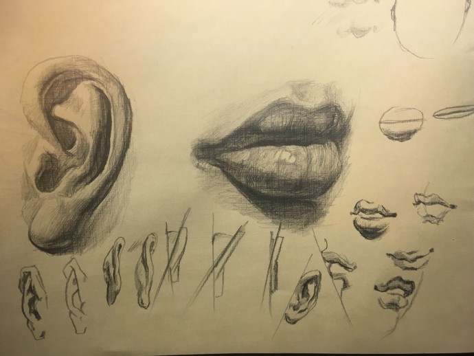 Учимся рисовать части лица