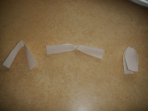 ​Сладкие крокусы