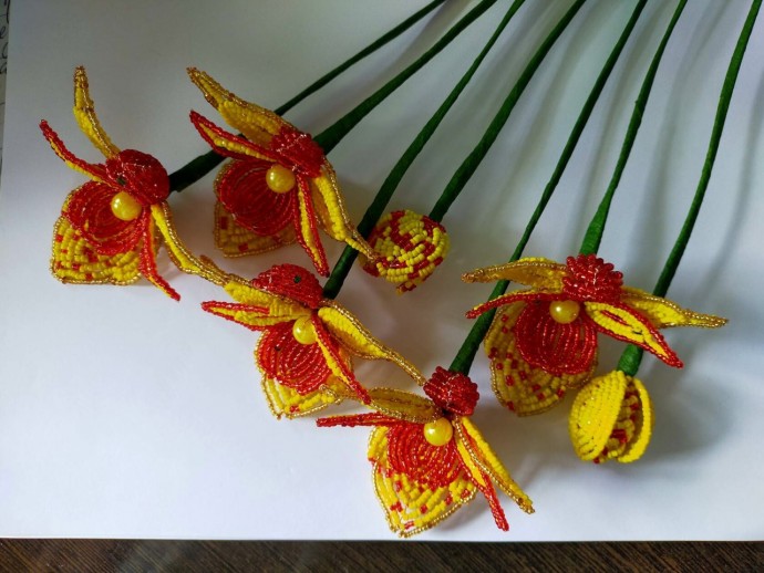 Желто-красные орхидеи