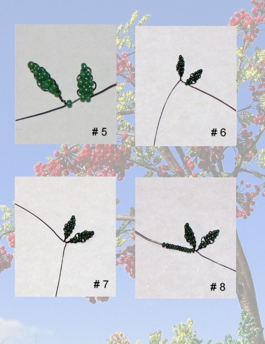 Рябина Рябина