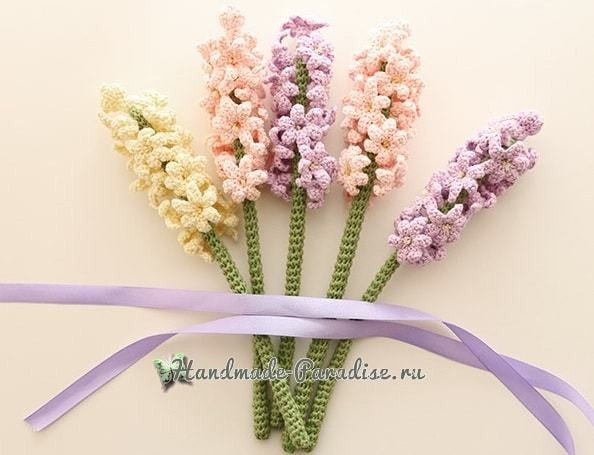 Гиацинт крючком