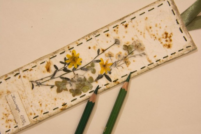 Закладка-гербарий "Мгновения"