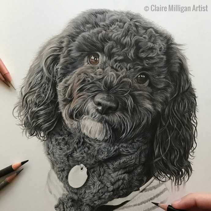 ​Потрясающие рисунки животных цветными карандашами: идеи для вдохновения