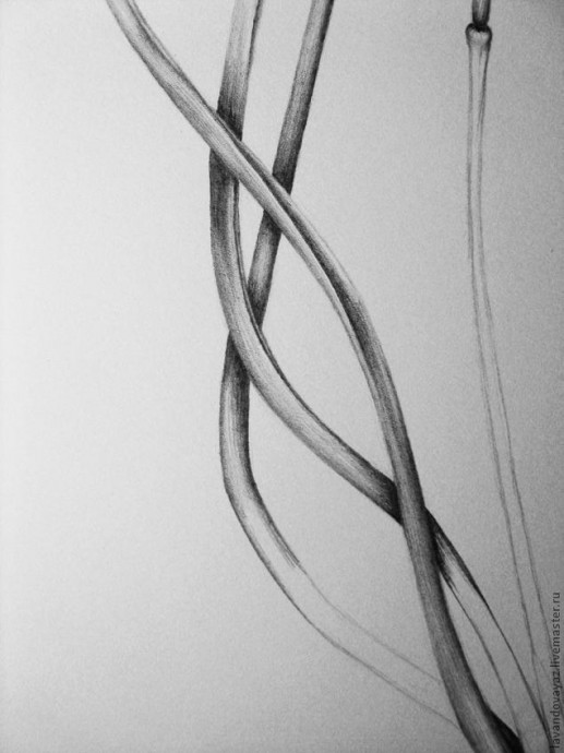 ​Рисуем изящный необычный цветок: часть 4