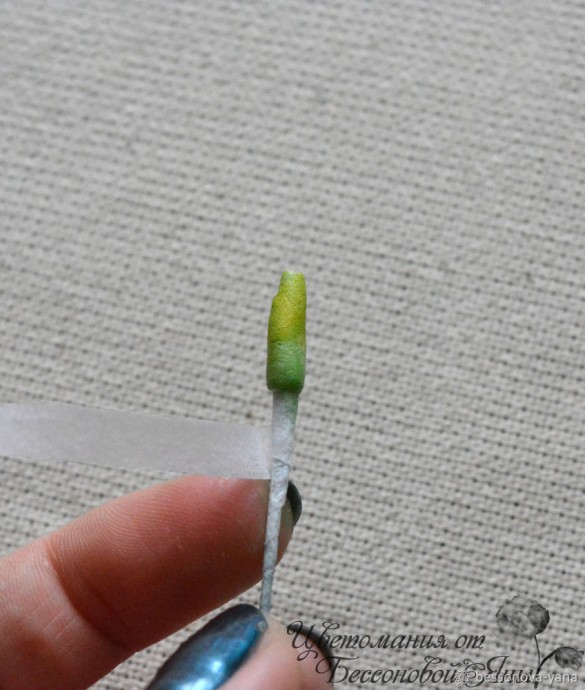 Создаем эвкалипт "Бейби Блю" из фоамирана: часть 1