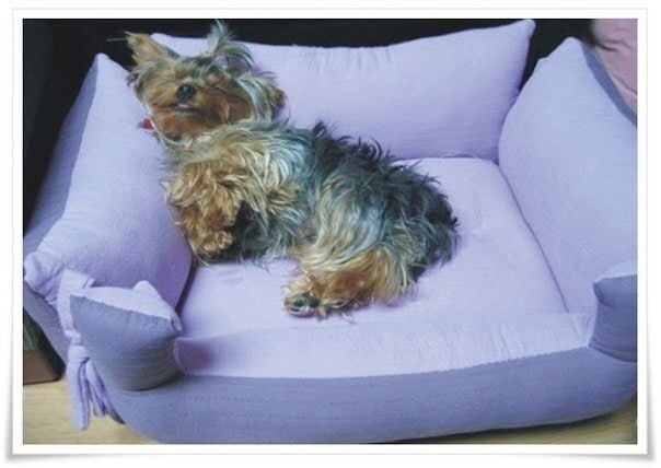 ​Шьем уютное местечко для животных