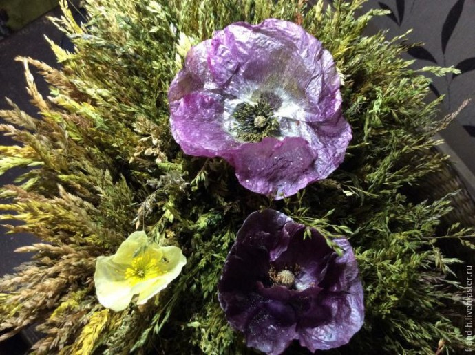 Как высушить цветок мака, чтобы его лепестки не помялись при сушке: часть 2