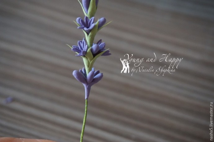 Лепим из полимерной глины веточки лаванды: часть 2