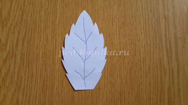 ​Астра из кожи: часть 2