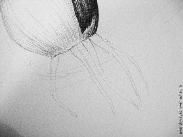 ​Рисуем изящный необычный цветок: часть 2