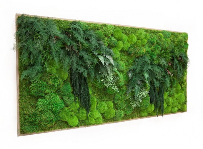 ​Панно из мха