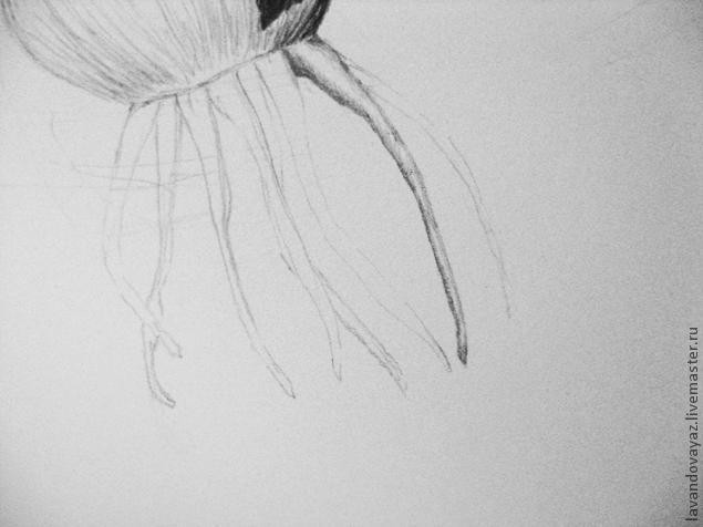 ​Рисуем изящный необычный цветок: часть 2