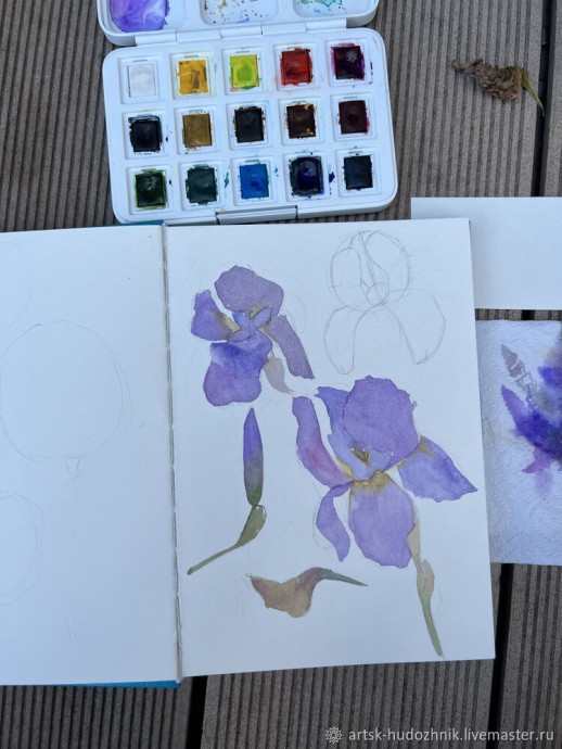 Ирисы акварелью