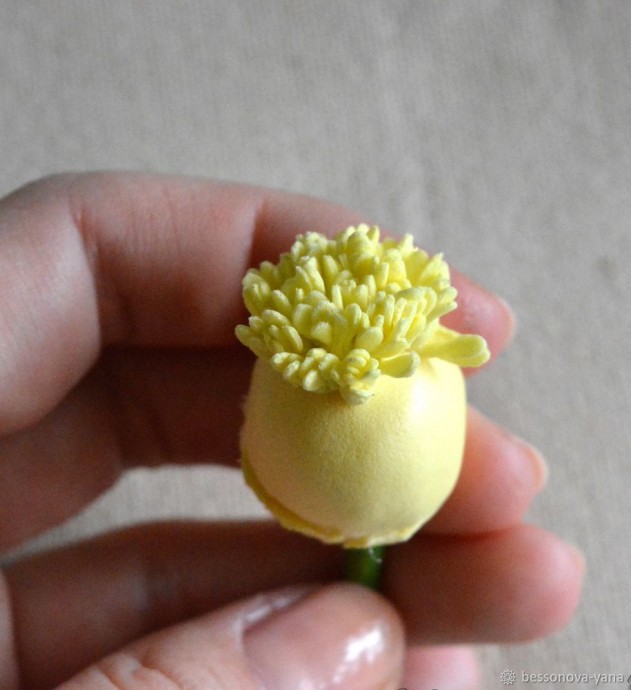 Создание краспедии из фоамирана