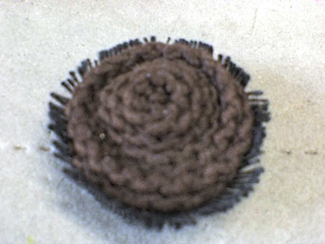 Очень быстрое изготовление сложноцветных Очень быстрое изготовление сложноцветных