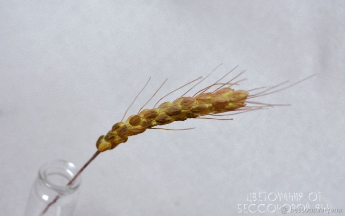 ​Создание колоса из фоамирана