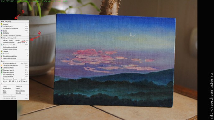 Простая обработка картины в программе FastStone Простая обработка картины в программе FastStone