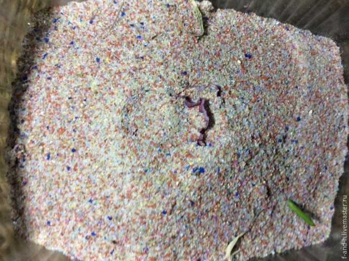 Как высушить цветок мака, чтобы его лепестки не помялись при сушке: часть 1