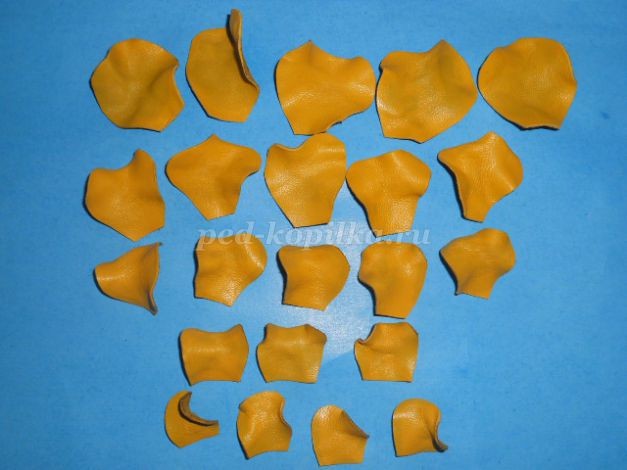 Роза из кожи: часть 1